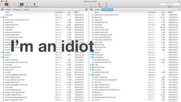 Apple Mac window with the words 'I'm an idiot' in the middle of screen